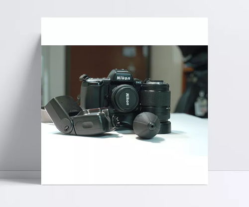 從記錄到創(chuàng)造 尼康單反如何為“日常”注入不凡